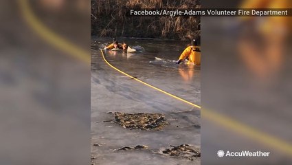 Firefighters work to rescue dog that fell through ice