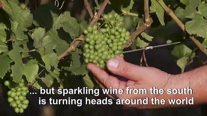 Brazil's sparkling-wine producers carve a growing niche