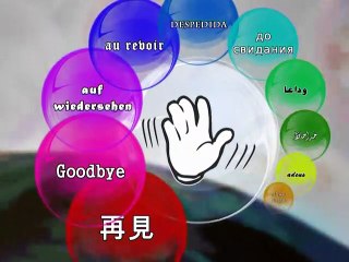 14.FRENCH-Likes-Dislikes