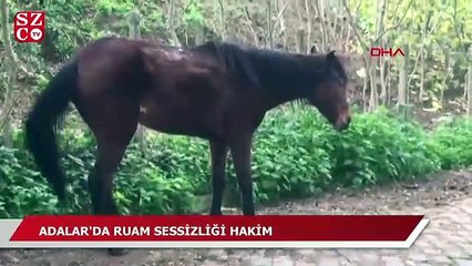 Adalar'da 'ruam' sessizliği!