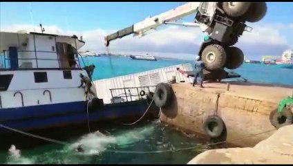 Galápagos: 2.500 Liter Diesel bedrohen Schildkröten und Vögel