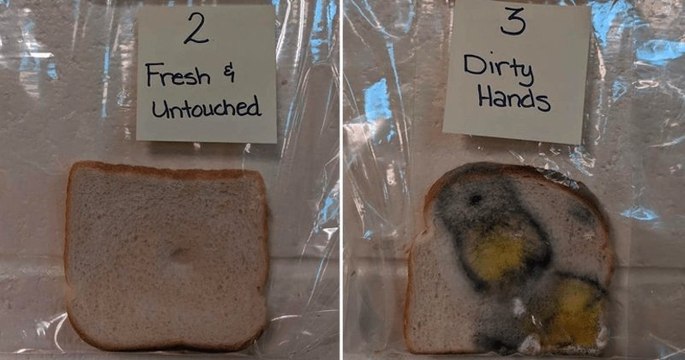 Une prof met au point une expérience simple pour montrer aux enfants l'importance de se laver les mains