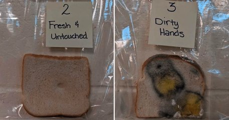 Une prof met au point une expérience simple pour montrer aux enfants l'importance de se laver les mains