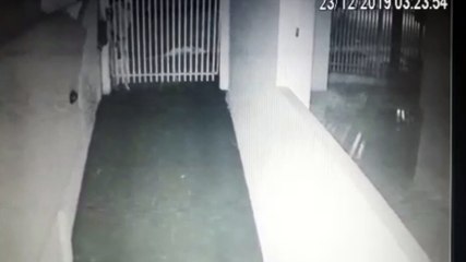 Câmeras registram homem forçando portão e invadindo estacionamento de condomínio na Neva