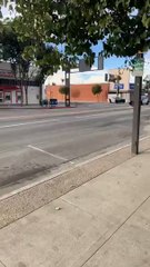 Police Arrive for Attempted Robbery of Armored Truck