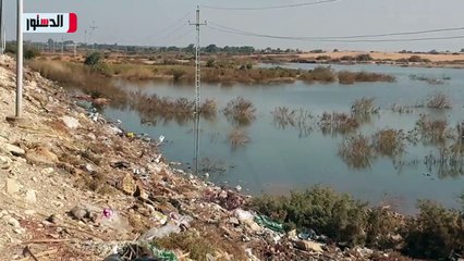 بركة مياه تهدد الطرق وأبراج الكهرباء بالوادي الجديد