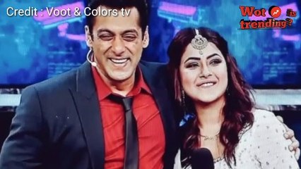 Shehnaaz Gill is having Good news from Punjab media | big boss 13