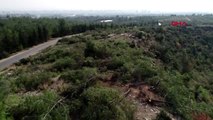 Mersin'de 72 dönümlük orman alanındaki kızılçam ağaçları kesildi