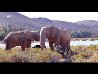 Globetrotters τελικός: Η ερώτηση της Αντελίνας εξόργισε τον Χάρη: «Έλα με τις μ@λ@κίες που λες...»