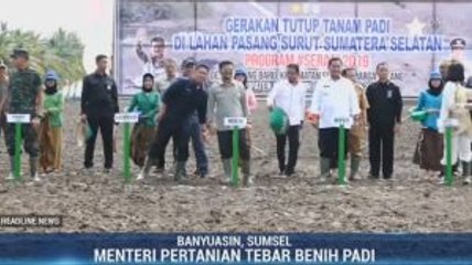 Mentan Dorong Sumsel Jadi Sumber Ekspor Beras