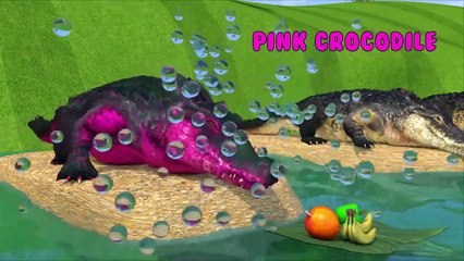 King kong aprende nombre de frutas y colores