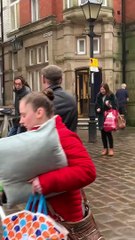 Awesome Performing Pooch Earns Its Pay