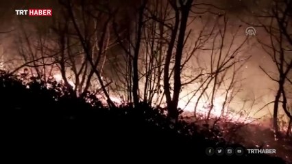 Trabzon'da 10 ilçede orman yangını