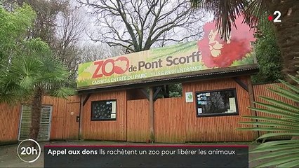 Appel aux dons : ils rachètent un zoo pour libérer les animaux