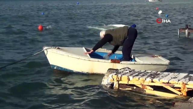 Şiddetli fırtınada tekneler battı, otobüs durakları yıkıldı, iskeleler çöktü