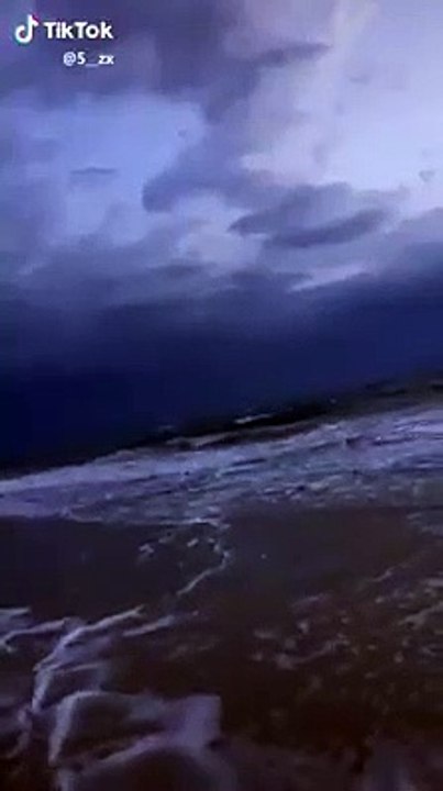 فيديو: أصوات مرعبة من البحر ومصر تحسم الجدل في حقيقة أصوات الحوت