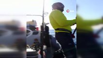 Adana’da amatör balıkçıların oltasına köpek balığı takıldı