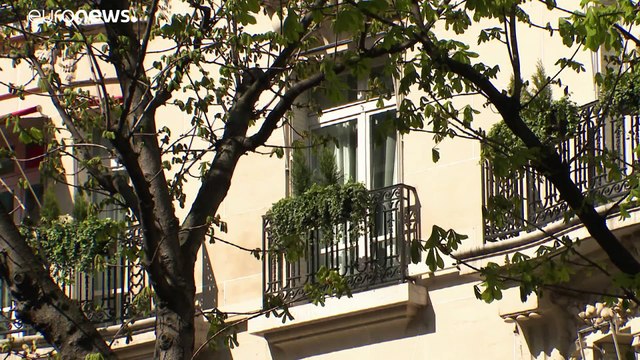 Парижские бизнесмены несут убытки из-за протестов