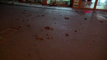 Tokat'ta fırtına çatıları uçurdu, ağaçları devirdi