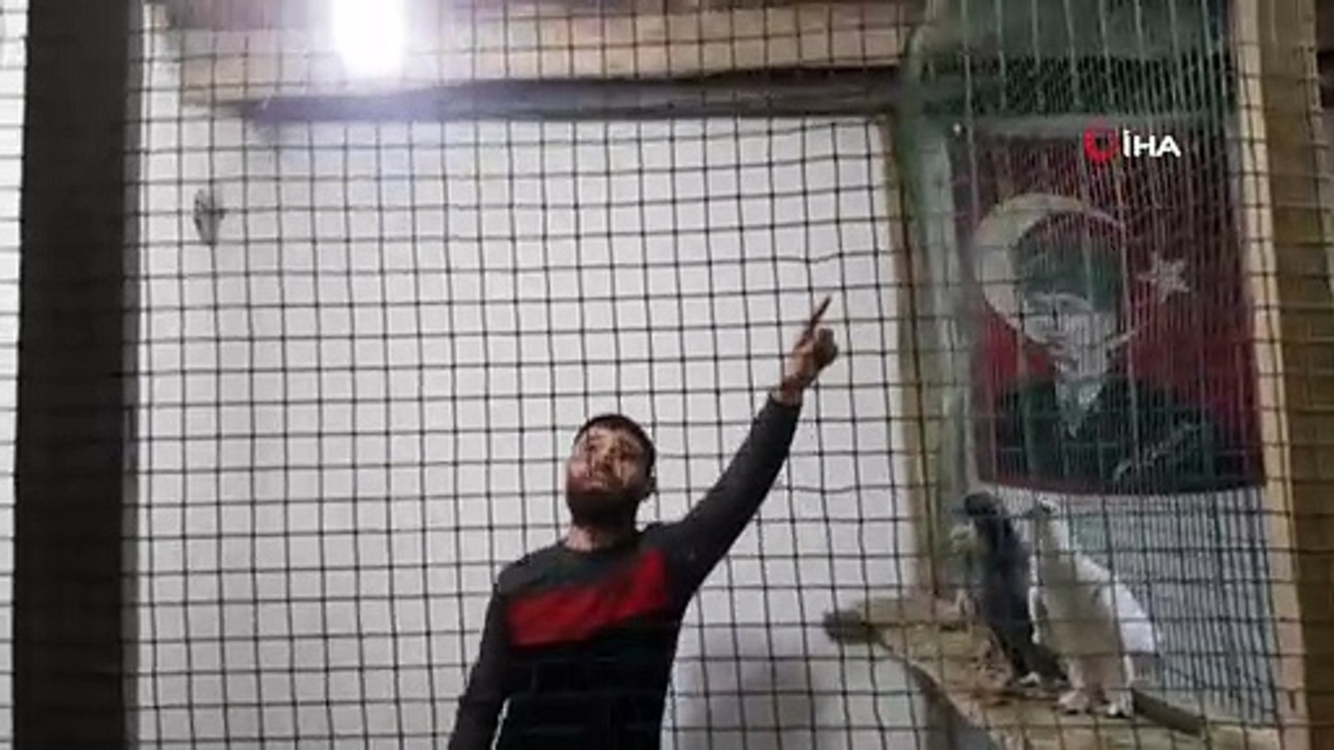 guvercin sevenler bu mezatta bulusuyor dailymotion video