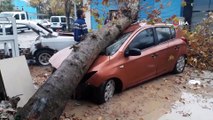 Fırtınanın devirdiği ağaç otomobili hurdaya çevirdi, yaşananlar kameraya böyle yansıdı