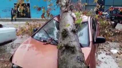 Fırtınanın devirdiği ağaç otomobili hurdaya çevirdi, yaşananlar kameraya böyle yansıdı