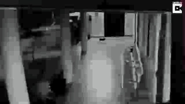 Así derriba y persigue esta perra al leopardo que atacó a su cachorro