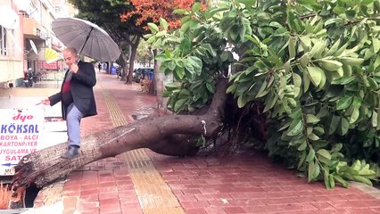 Antalya'da şiddetli rüzgar ve gök gürültülü sağanak (2)