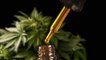 What is CBD oil, and why is it so expensive?