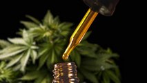 What is CBD oil, and why is it so expensive?