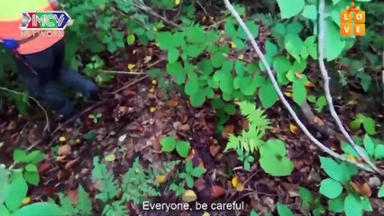 Việt Thi và Winner trãi nghiệm làm THỢ SĂN và hành trình ĐI TÌM DẤU CHÂN GẤU tại Akita Nhật Bản