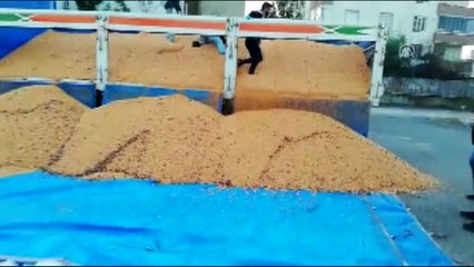 Gaziantep'te 221 kilogram esrar ele geçirildi