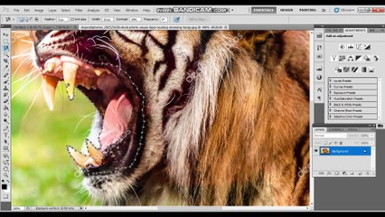 PHOTOSHOP TUTORIALS - #01 -HOW TO COMBINE TWO PHOTOS TO MAKE ORANGE BITE