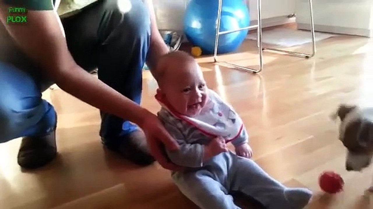 Fuunyy children video with dogs cute babies❤️