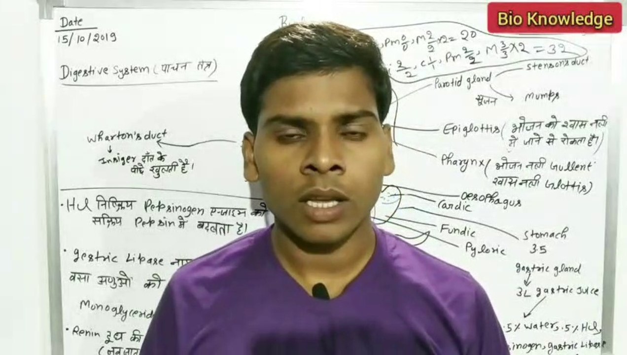 digestive system ||digestive system of human body  ||   मानव का पाचन तंत्र || For Class 11th / RRB NTPC /SSC .etc