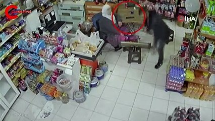 Şaşkına döndüler! Sinsice yaklaşıp alıp kaçtı