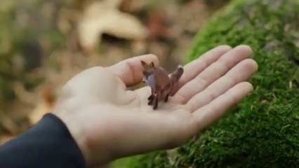 Touch and feel the virtual world