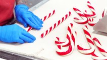 100-year-old candy factory makes 10 million candy canes per year