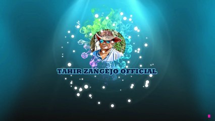 Road Cross, Funny urdu sindhi video by Tahir Zangejo