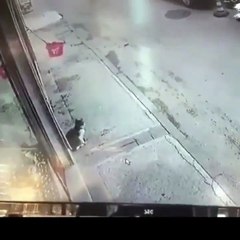 Korkutarak yere düşürdüğü adama