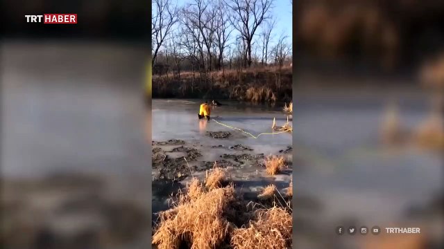 Donmuş gölete sıkışan köpeği itfaiye erleri kurtardı