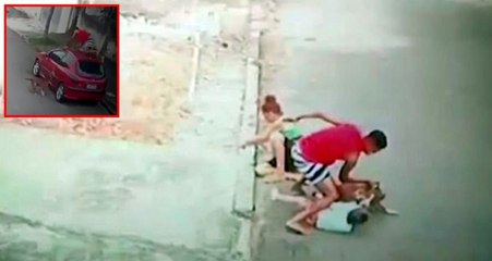 Brezilya'da geç adam küçük çocuğu pitbull saldırısından kurtardı
