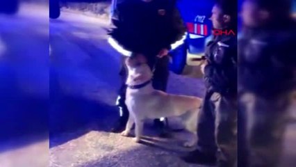 Burdur 'ölüme gidiyorum' dedi, yaralı bulundu