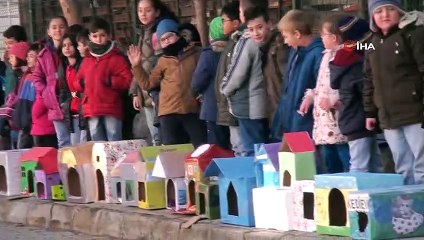 Kediler üşümesin diye 150 adet kedi evi yaptı