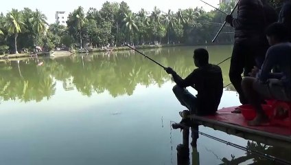 big black carp fish hooked