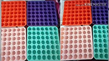 Seeding tray . Seedling tray