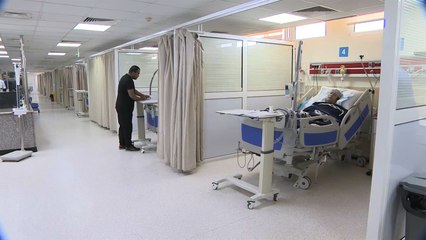 وزارة الصحة الأردنية تعلن حالة الطوارئ لارتفاع أعداد الوفيات بإنفلونزا الخنازير