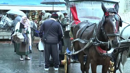 Adalar Kaymakamlığı, Ruam hastalığı nedeniyle itlaf edilmek zorunda kalınan atların sahipleri hakkında bugün Cumhuriyet Başsavcılığına suç duyurusunda bulunulacağını açıkladı.