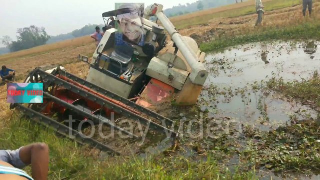 Rice Harvesting Machine | Kubota harvasking dhano kata machine