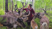 The last reindeer herders: China’s ethnic minority Ewenki keep a centuries-old tradition alive